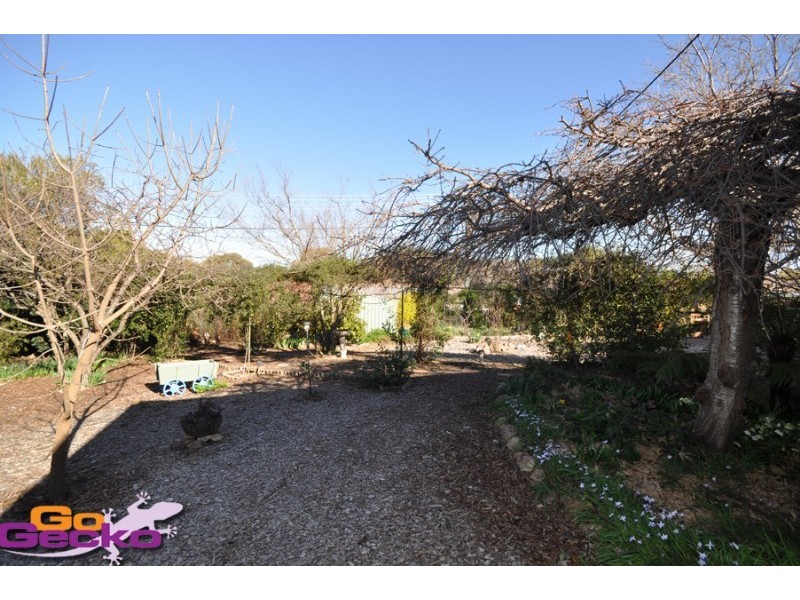 11 Kinchela Crescent, Latham ACT 2615