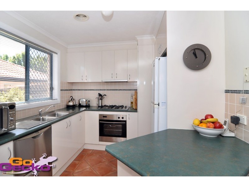 117 Sugarloaf Circle, Palmerston ACT 2913