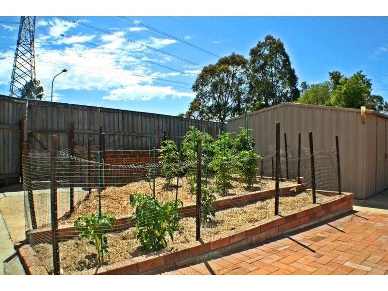 3 Kinchela Crescent, Latham ACT 2615