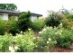 5 Cleland Street, Latham ACT 2615