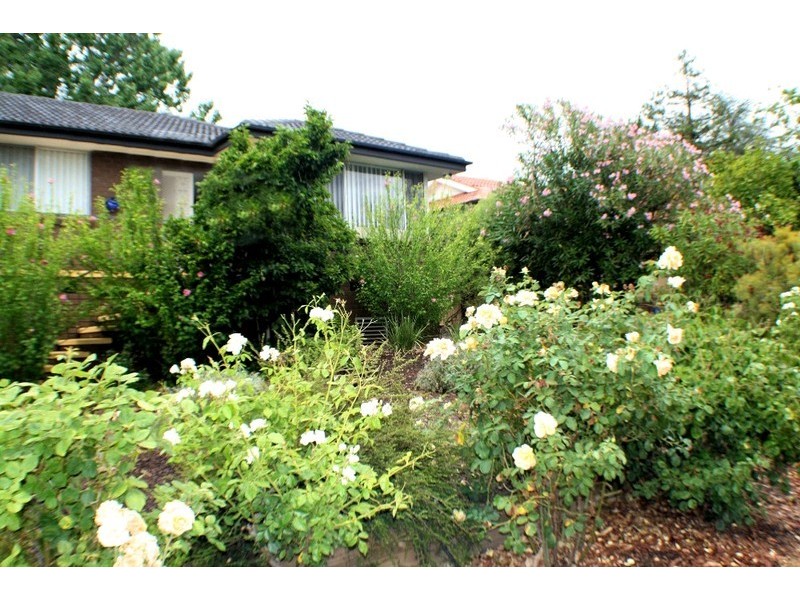 5 Cleland Street, Latham ACT 2615