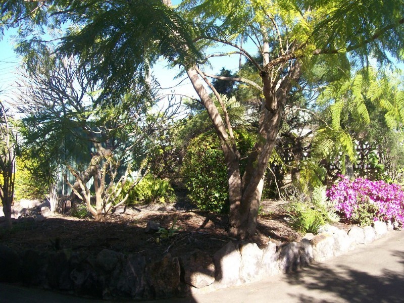 100 Salonica Road, Carina Heights QLD 4152