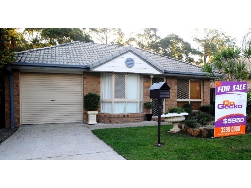 56 Currigee Circuit, Tingalpa QLD 4173