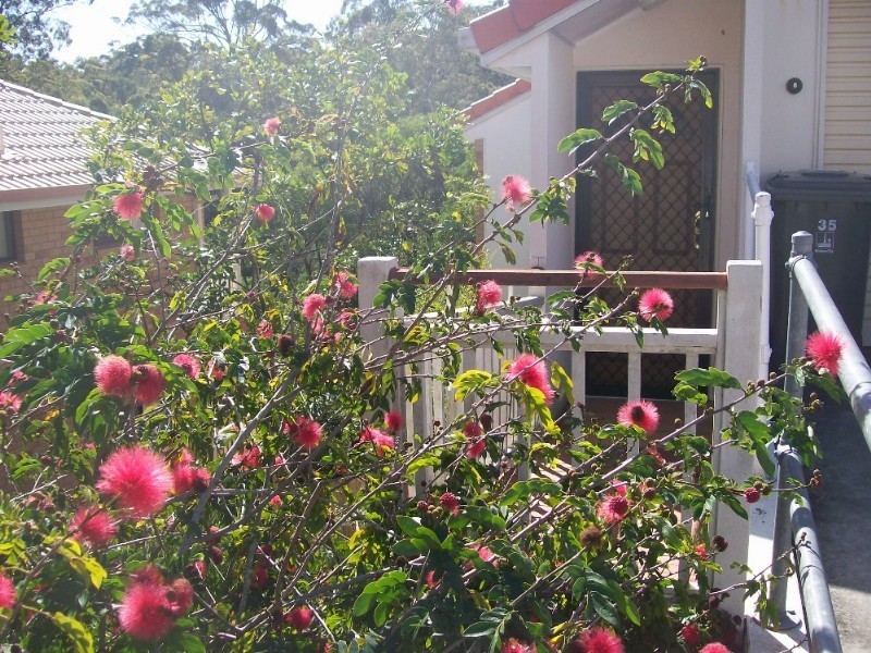 35/1180 Creek Road, Carina Heights QLD 4152