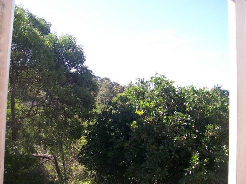 35/1180 Creek Road, Carina Heights QLD 4152