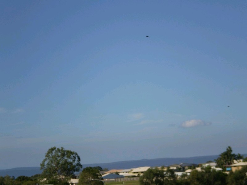 3 Applegum Crescent, Thornlands QLD 4164