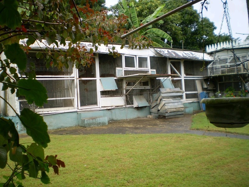 189 Chataway Street, Carina Heights QLD 4152