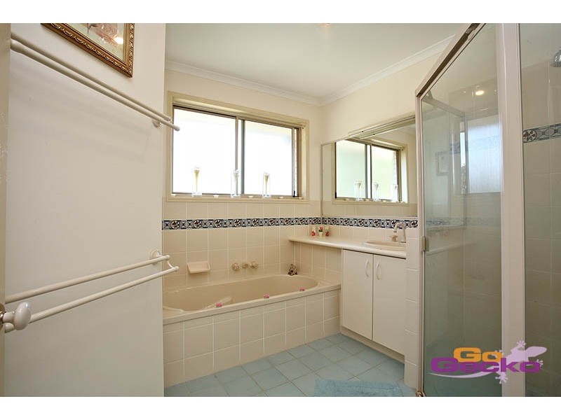 20 Tremain Street, Tingalpa QLD 4173