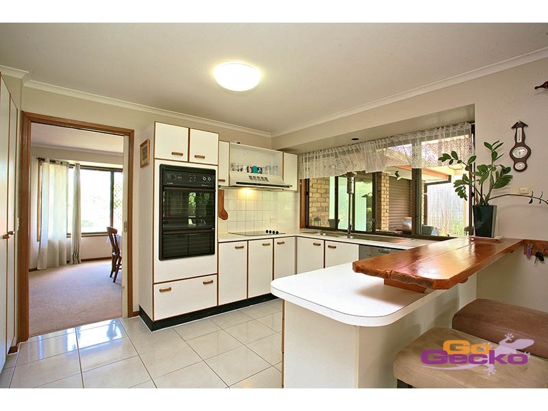 15 Abbeyfeale Street, Tingalpa QLD 4173