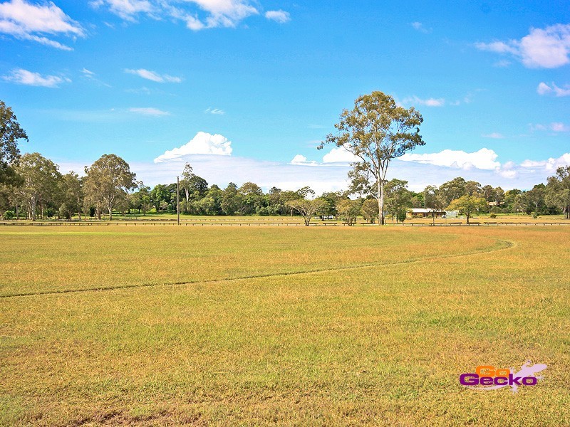 78 Washington Avenue, Tingalpa QLD 4173