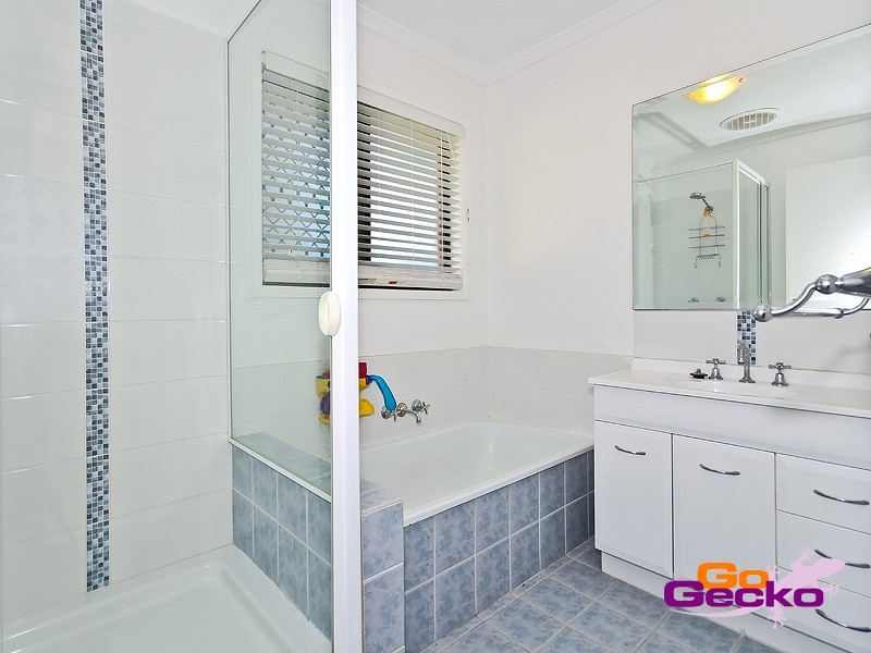 17 Loughrea Street, Tingalpa QLD 4173