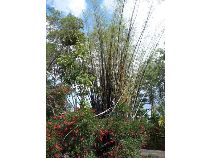 482 Glenview Road, Glenview QLD 4553