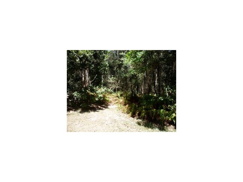 135 Main Creek Road, Tanawha QLD 4556