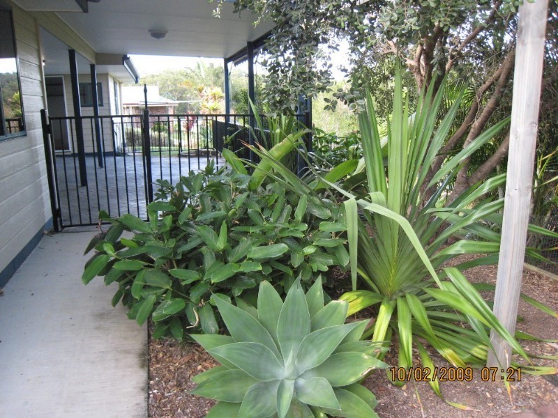 24 Sam White Drive, Buderim QLD 4556