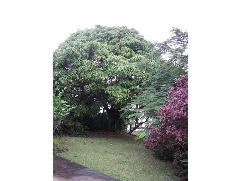 25 Elizabeth Street, Nambour QLD 4560