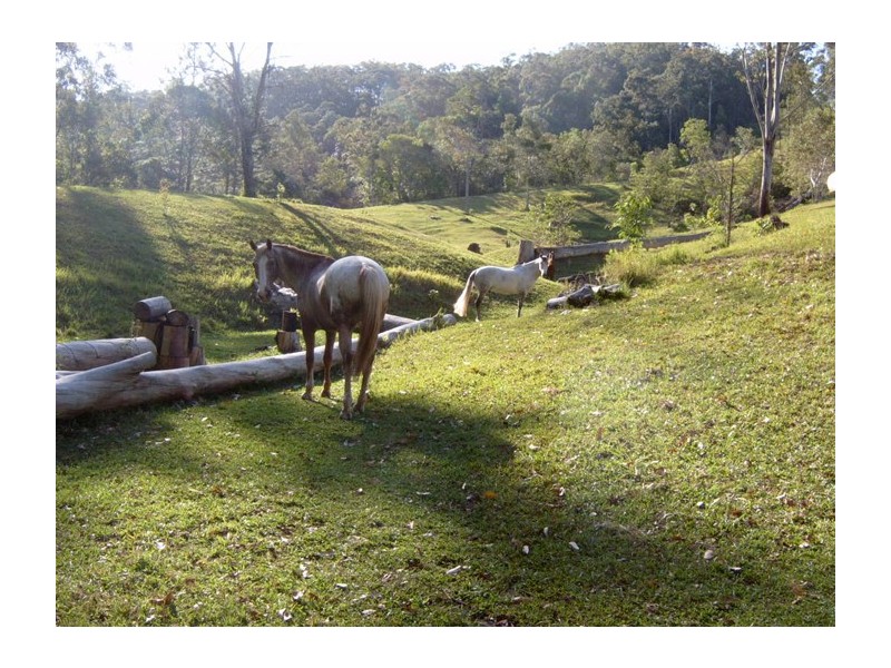 49 Gattera Road, Landsborough QLD 4550