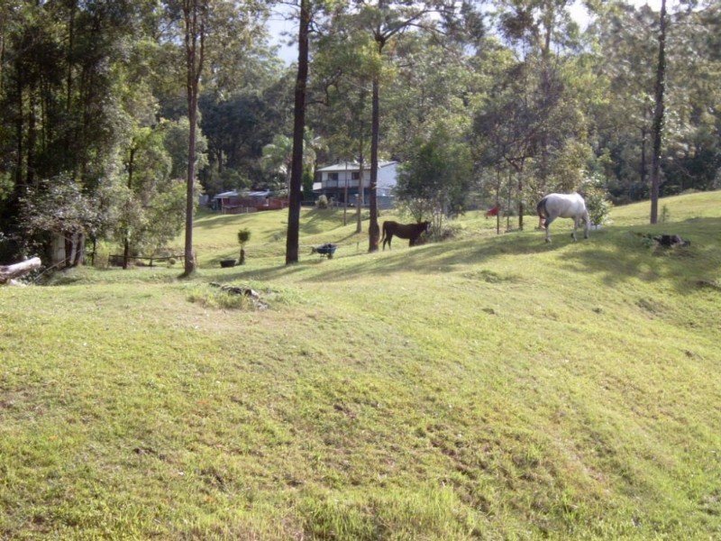 49 Gattera Road, Landsborough QLD 4550