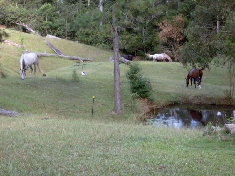 49 Gattera Road, Landsborough QLD 4550