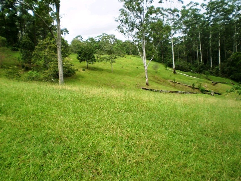 49 Gattera Road, Landsborough QLD 4550