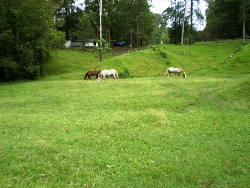 49 Gattera Road, Landsborough QLD 4550