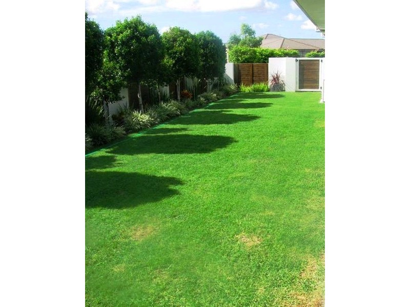 6 Scribbly Gum Drive, Meridan Plains QLD 4551