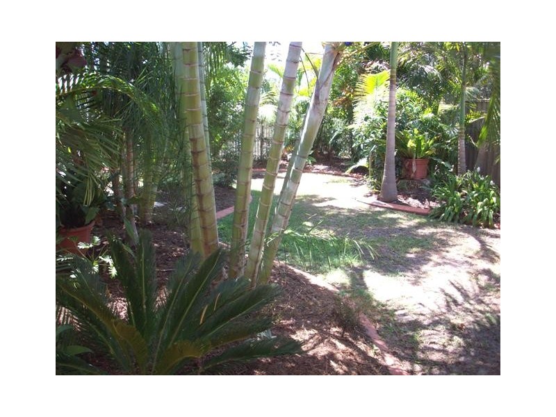 657 Nicklin Way, Wurtulla QLD 4575