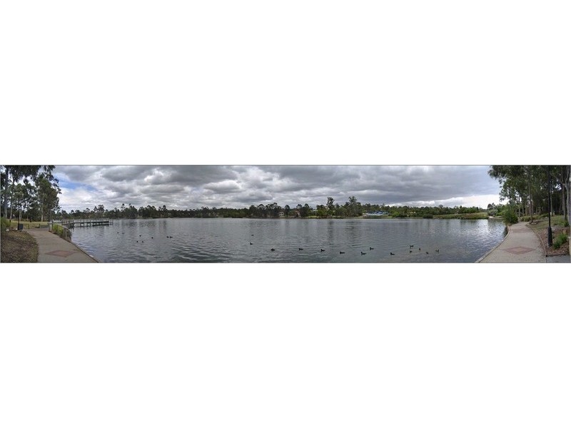 17 Carisbrook Circuit, Forest Lake QLD 4078
