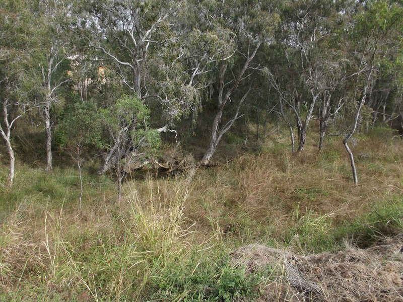 20 Lingwoodock Place, Gladstone QLD 4680