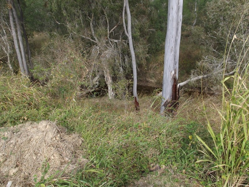 20 Lingwoodock Place, Gladstone QLD 4680