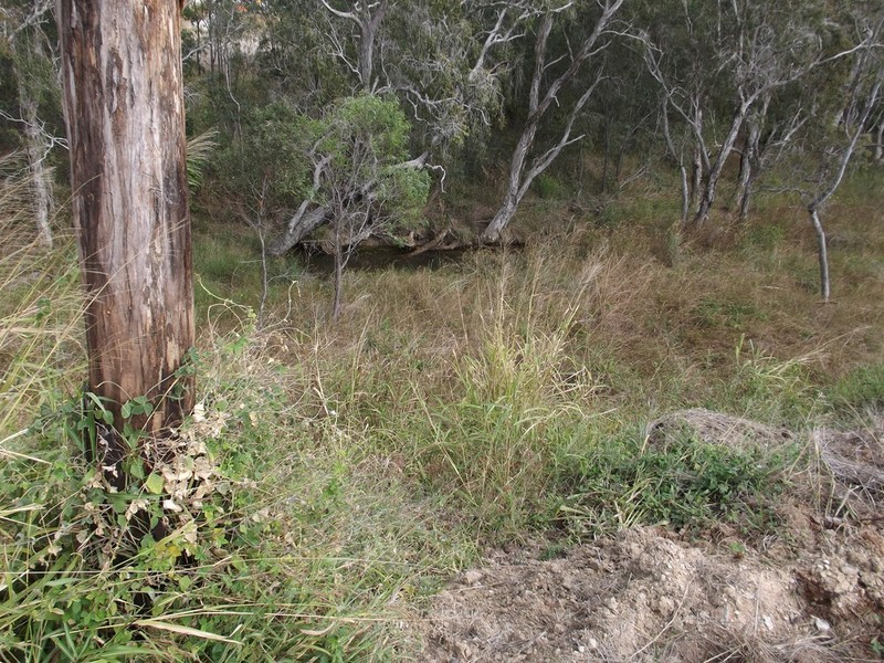 20 Lingwoodock Place, Gladstone QLD 4680