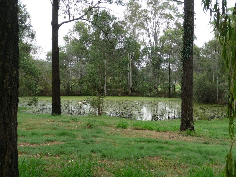 237 Missigs Road, Haigslea QLD 4306