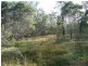 1 Durlik Road, Pine Mountain QLD 4306
