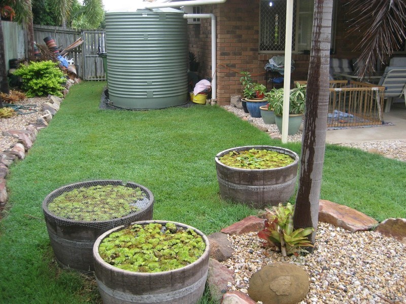 20 Resolution Parade, Flinders View QLD 4305
