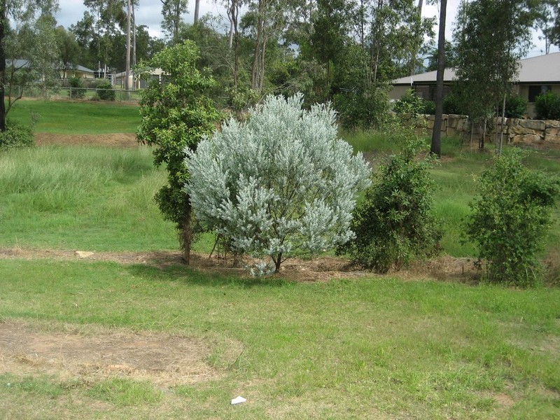 10 Hilltop Court, Deebing Heights QLD 4306