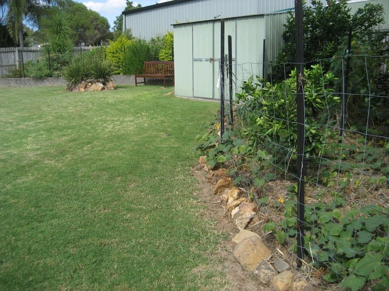 32 Arabian Close, Yamanto QLD 4305