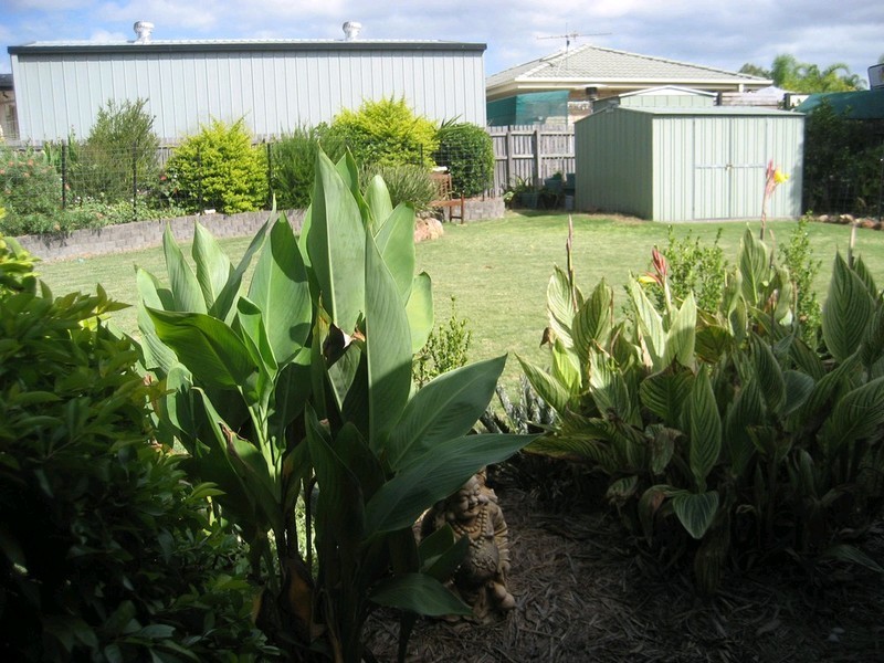 32 Arabian Close, Yamanto QLD 4305