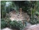 241 Ripley Road, Flinders View QLD 4305