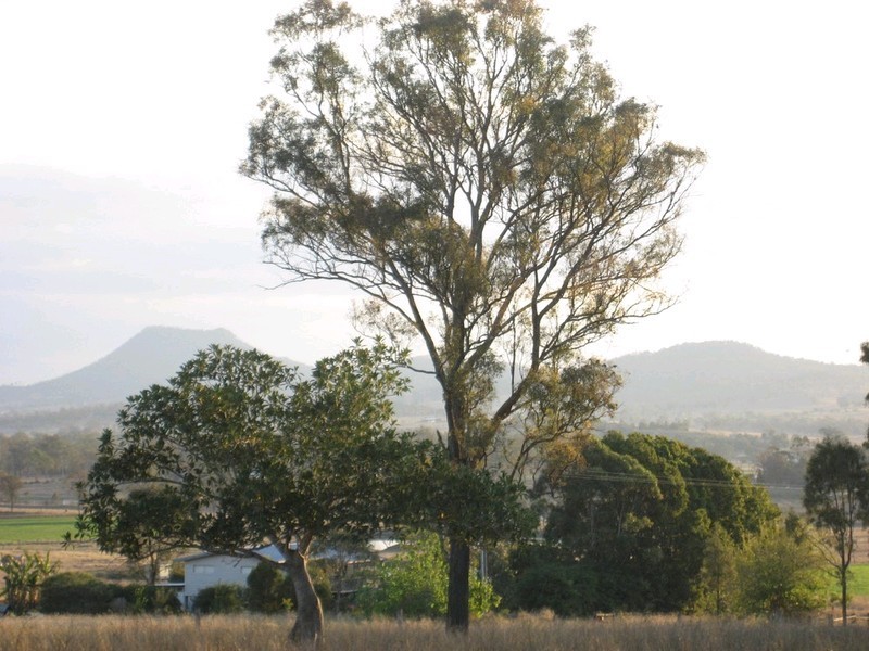 119 Gimpels Road, Mutdapilly QLD 4307