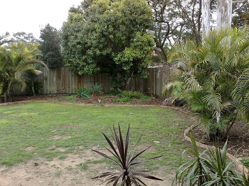 24 Blaxland Street, Eastern Heights QLD 4305