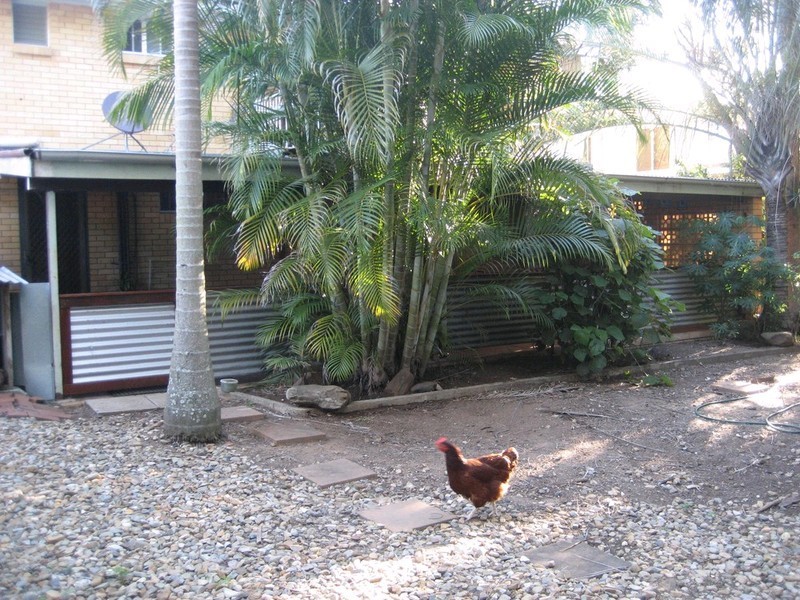 17 Gwendoline Street, Raceview QLD 4305