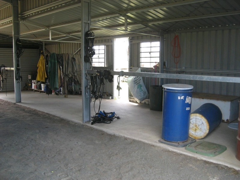 99 Hardings Road, Karrabin QLD 4306