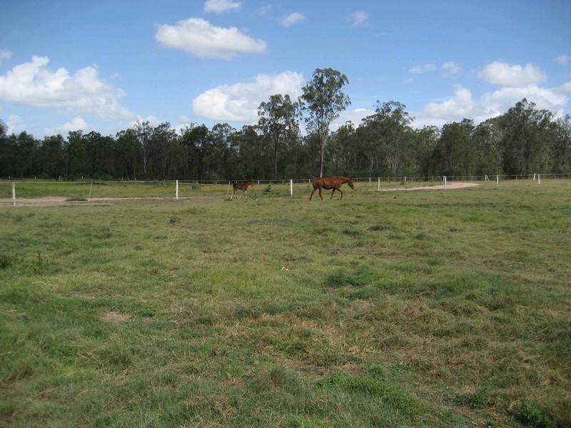 99 Hardings Road, Karrabin QLD 4306