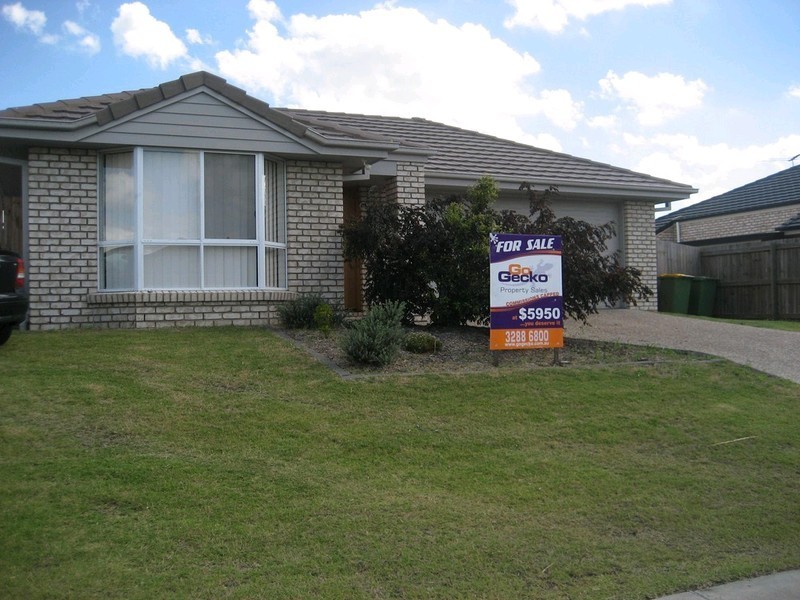 19 Pencarrow Crescent, Raceview QLD 4305