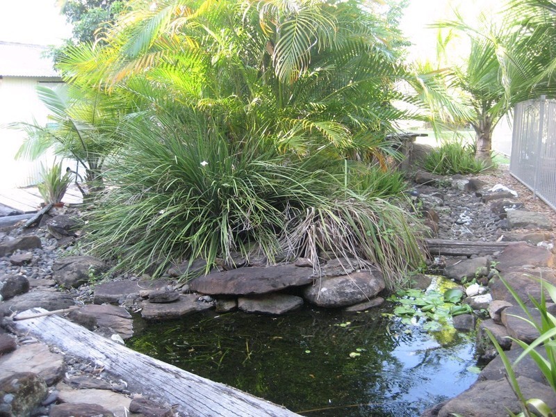 14 Falvey Street, Ripley QLD 4306