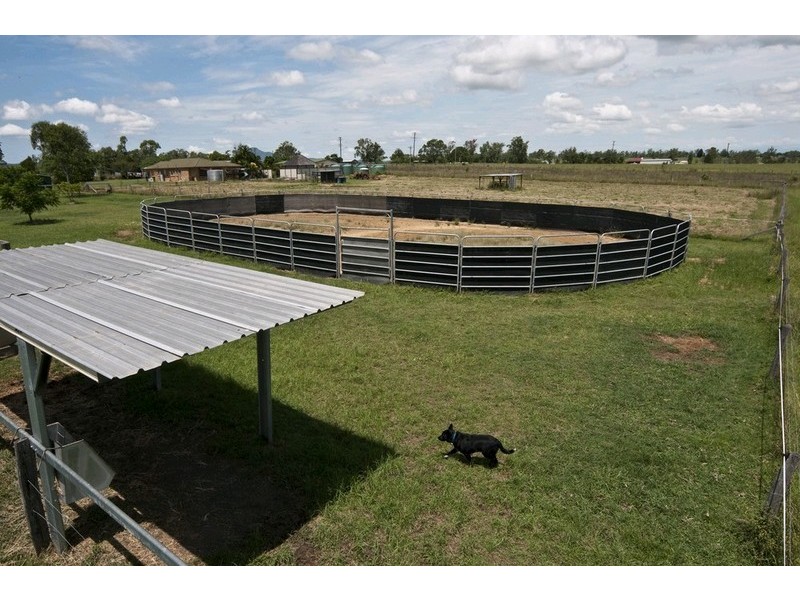 515 Middle Road, Purga QLD 4306