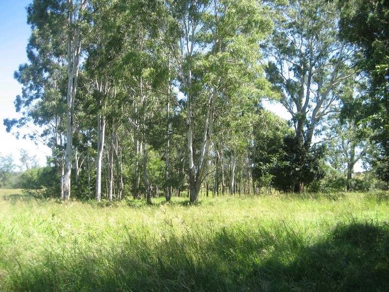1337-1347 Ipswich Boonah Road, Peak Crossing QLD 4306