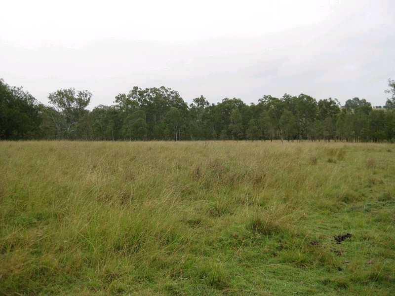457 Mt Forbes Road, Mount Forbes QLD 4340
