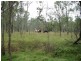 457 Mt Forbes Road, Mount Forbes QLD 4340