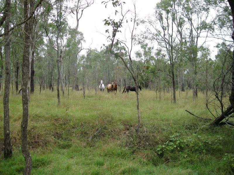 457 Mt Forbes Road, Mount Forbes QLD 4340
