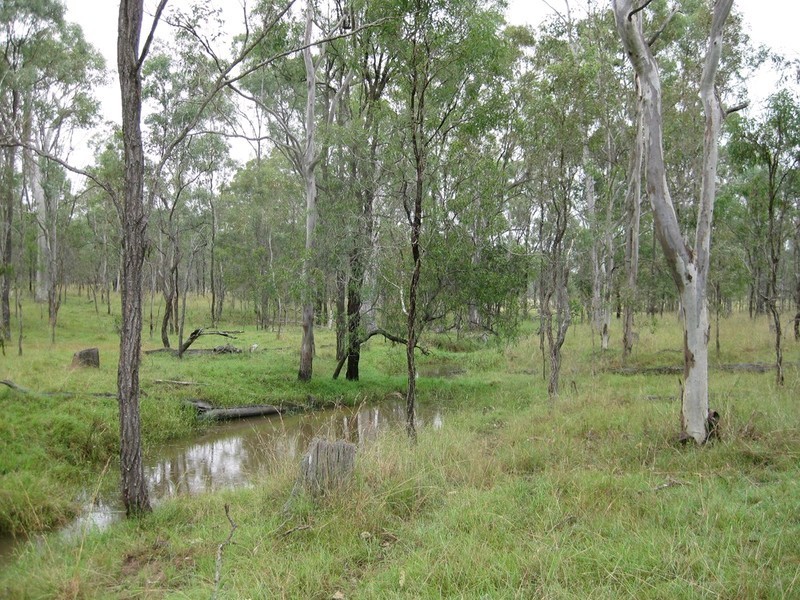 457 Mt Forbes Road, Mount Forbes QLD 4340
